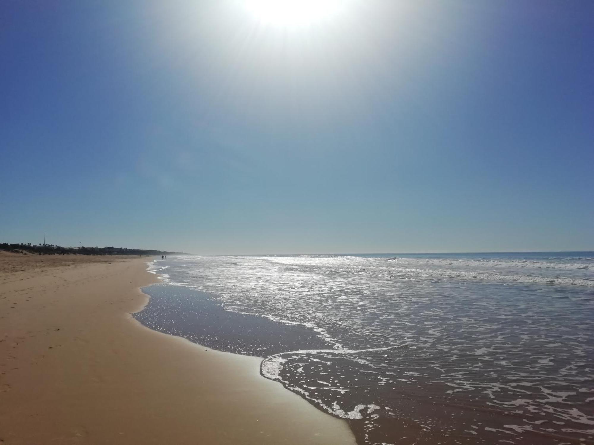 Pinar 12 Apartman Chiclana de la Frontera Kültér fotó